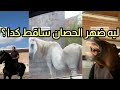 اعادة نشر ركبت حصان فريزيان وليه ضهر الحصان ساقط كدا اعادة نشر ركبت حصان فريزيان وليه ضهر الحصان ساقط كدا