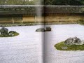 風が運ぶもの