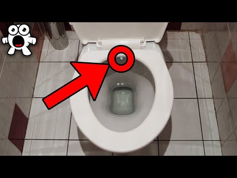 Видео: Что означает 10 грубостей в туалете?
