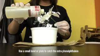 Magic Color Changing Flower - PBL Project