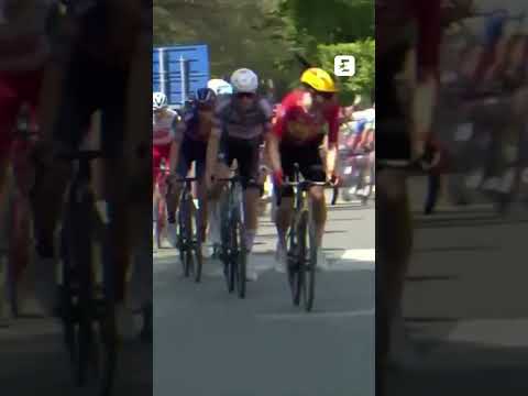 🐶🚴‍♂️ Un chien s'invite en pleine course #shorts #cyclisme #chien