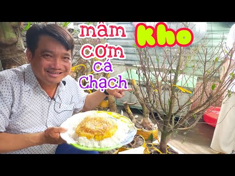 Video Cá Chạch nấu chua và kho nghệ. Ngắm mai tàng giá... - youtube