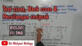 HEREDITY PATTERNS part 2 (testcross, backcross and reciprocal cross) | Biology XII SMA