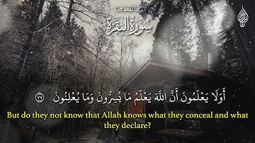 القارئ اسلام صبحي يبدع ويبهر المستمعين واذ استسقى موسى لقومه تلاوة من سورة البقرة