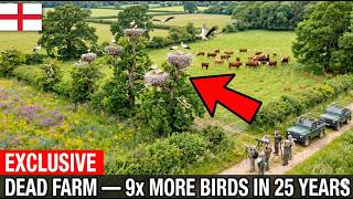 England Released Wild Animals Into a Dead Farm — What Returned 25 Years Later Is Unbelievable