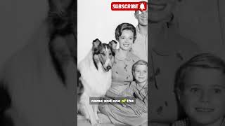June Lockhart (1925-2025) TV Icon of Lassie & Lost in Space Passes at 100 #breakingnews