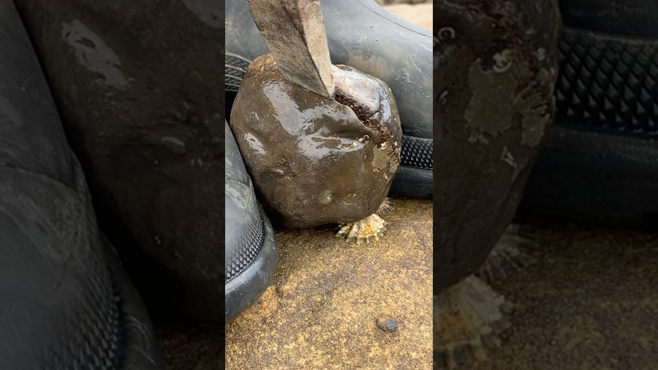 Cracked Open… and the Colours Are INSANE!