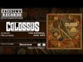 Colossus Time Eternal Beacons mp3
