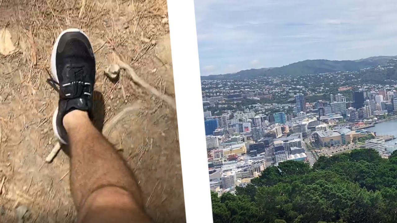 I Climbed This Mountain to Get the BEST View in Wellington!