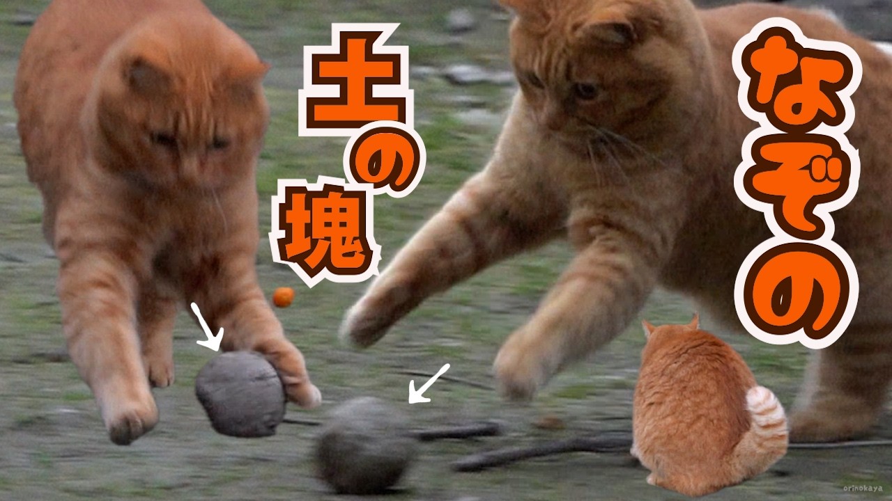 畑作業をひっそり応援、土の塊ブーム