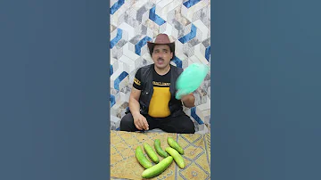 الخيار خيار بلبن خيار بلدي Guess How Many Cucumbers بائع الخيار 