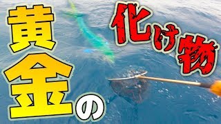 【衝撃の結末】特定魚釣ったら即終了の釣り対決で、化け物の黄金魚が！