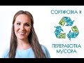 Раздельный сбор мусора. Как правильно сортировать отходы?