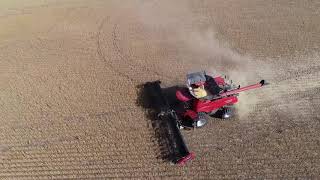 8250 Combining Beans Drone Footage