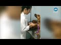 La tierna reaccin de un perro mientras su veterinaria lo curaba
