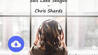 Salt Lake Seagull - Chris Shards
