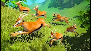Wild Tiger Survival - Animal Simulator Tiger Vs Lion Android Gameplay #1 | Dishoomgameplay screenshot 2