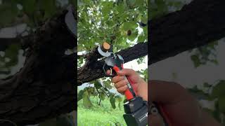 Hardware Tool #Repair Tool #shortsfeed