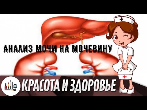 Анализ мочи на мочевину