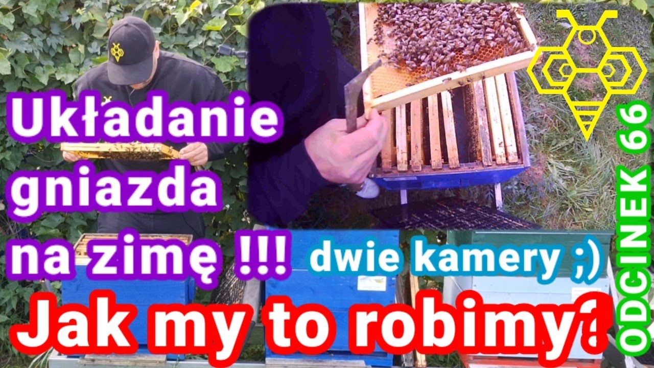 Układanie gniazda na zimę jak my to robimy. Instrukcja krok po kroku ODCINEK 66 @DolnośląskieMiody
