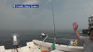 Watch: Whale Overturns Boat Off New Jersey Coast