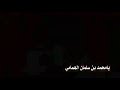 لبيك يابن سلمان سمعا وطاعه حنا عصاك اللي ماتعصاك