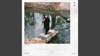 Microbial Wonderland