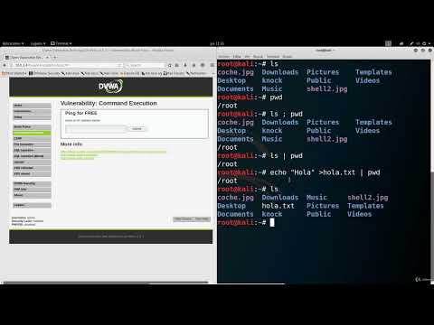 27. Explotando vulnerabilidades de ejecución de código avanzadas