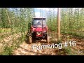 Farmvlog #16 / Zetor 7011 / kultivace chmelnice