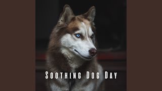 Serene Tail Wag Chill