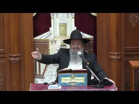 שיעור חי  -LIVE -הרב דוד לוי ספר משלי עם הרבה אמונה - ובשעה 20:15 הרב פנחס רז