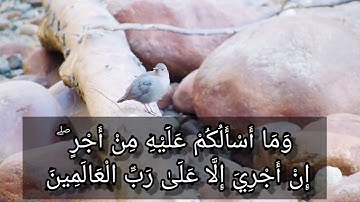 كَذَّبَتْ قَوْمُ نُوحٍ الْمُرْسَلِينَ  سورة الشعراء اسلام صبحي Şuarâ Suresi