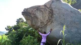 Mudfossil Medley Part 2. Mudfossil Animals