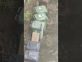 Squirrel meeting on my Birthday