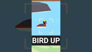 Famous We just added new birds to our game Profile