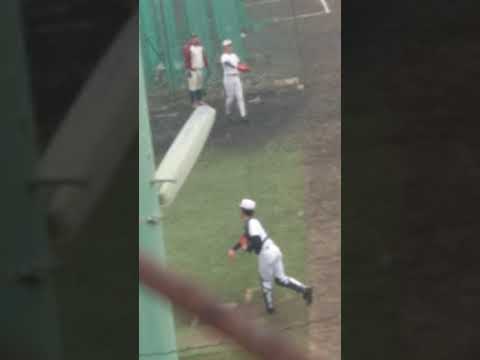 大阪桐蔭 横川投手 投球練習
