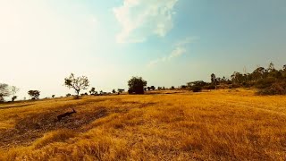 Tracking Black Bucks With The Geprc Mark 5 With Dji O4 Unit Pro