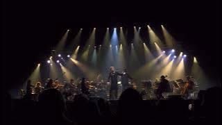 Би-2 — Моя Любовь (Амстердам, 2025)