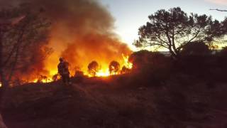 Incendio Mangualde 26/07/2017