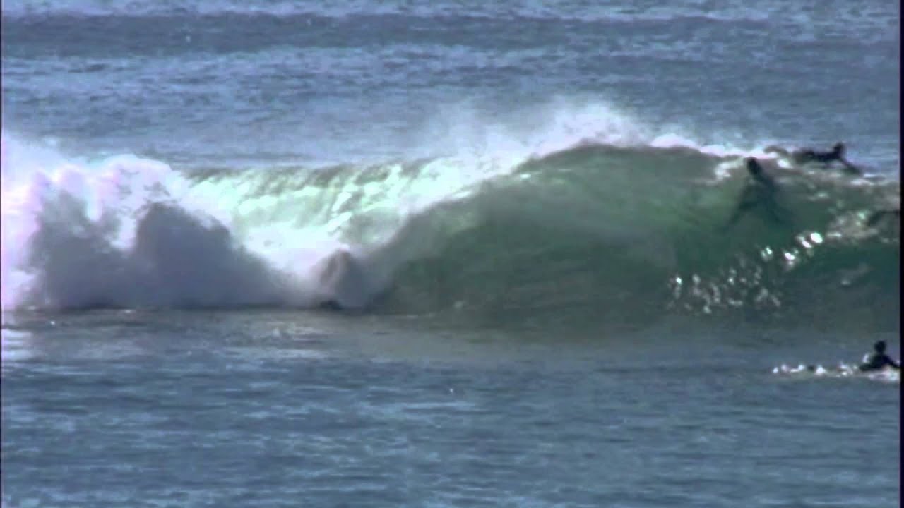 Kane Garden Classic Fish in San Diego