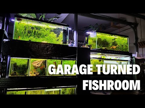 22 Aquariums in