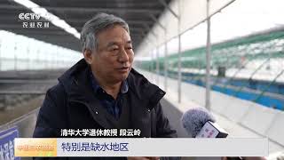 [中国三农报道]宁夏银川 清华大学退休教授跨界“养海虾” | 农业致富经 Agriculture And Farming