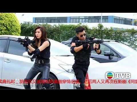 陈展鹏求婚两次终成功，10月迎娶28岁单文柔，更加心疼胡定欣