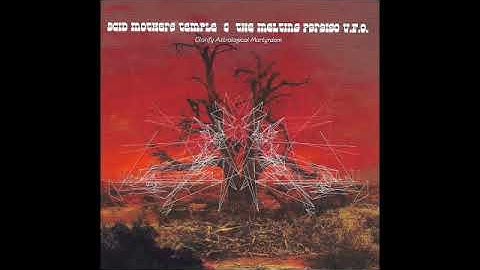 Acid Mothers Temple & the Melting Paraiso U.F.O. / Glorify Astrological Martyrdom