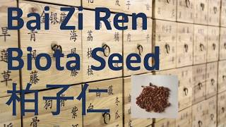 88 Chinese Herbal Medicine, Chinese Herbal Medicine, TCM, Bai Zi Ren (Biota Seed) 柏子仁 - 中医 中药 草药