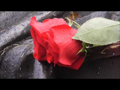 Царскосельский Лицей. День Лицея 19 октября.