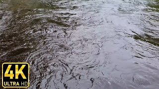 🌊 Stream Flow: 10 Hour Relaxation Loop 💧🎵