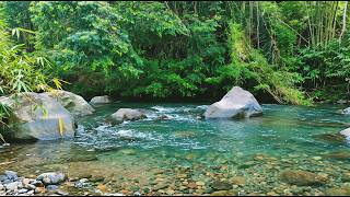 Pure Flowing River Sounds 🍃 Nature White Noise for Focus