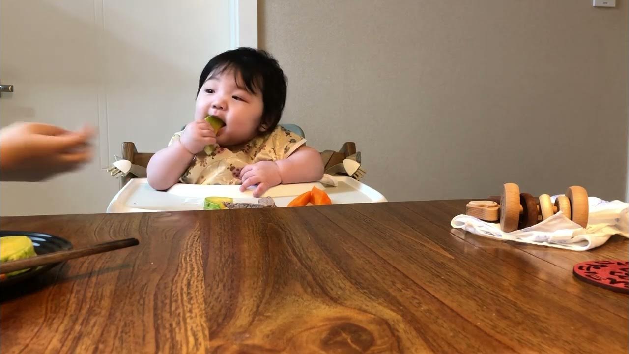 BabyLed Weaning zucchini 아이주도이유식 호박 YouTube