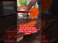 Gotas de Sabedoria